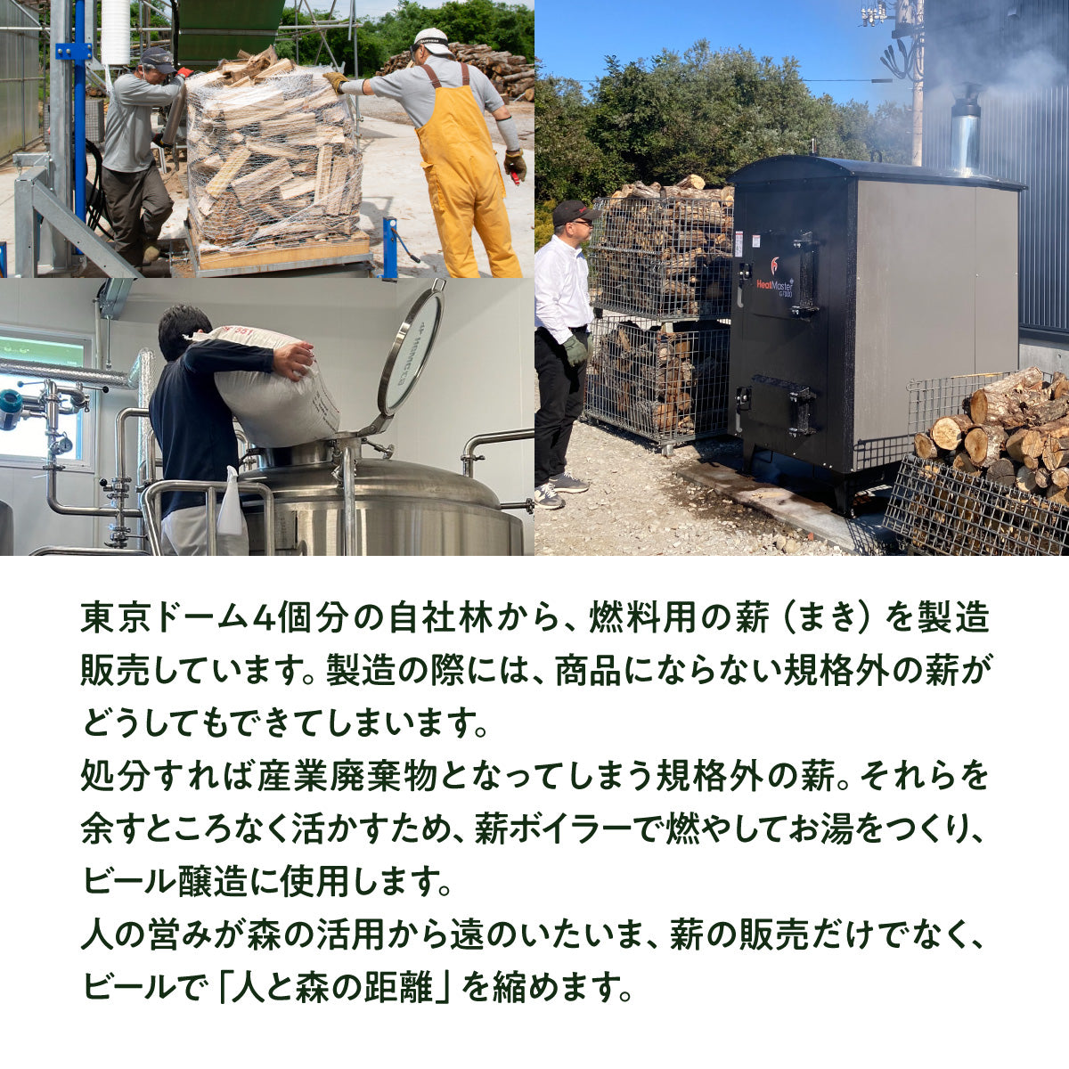 ラガー系 クラフトビール飲み比べセット