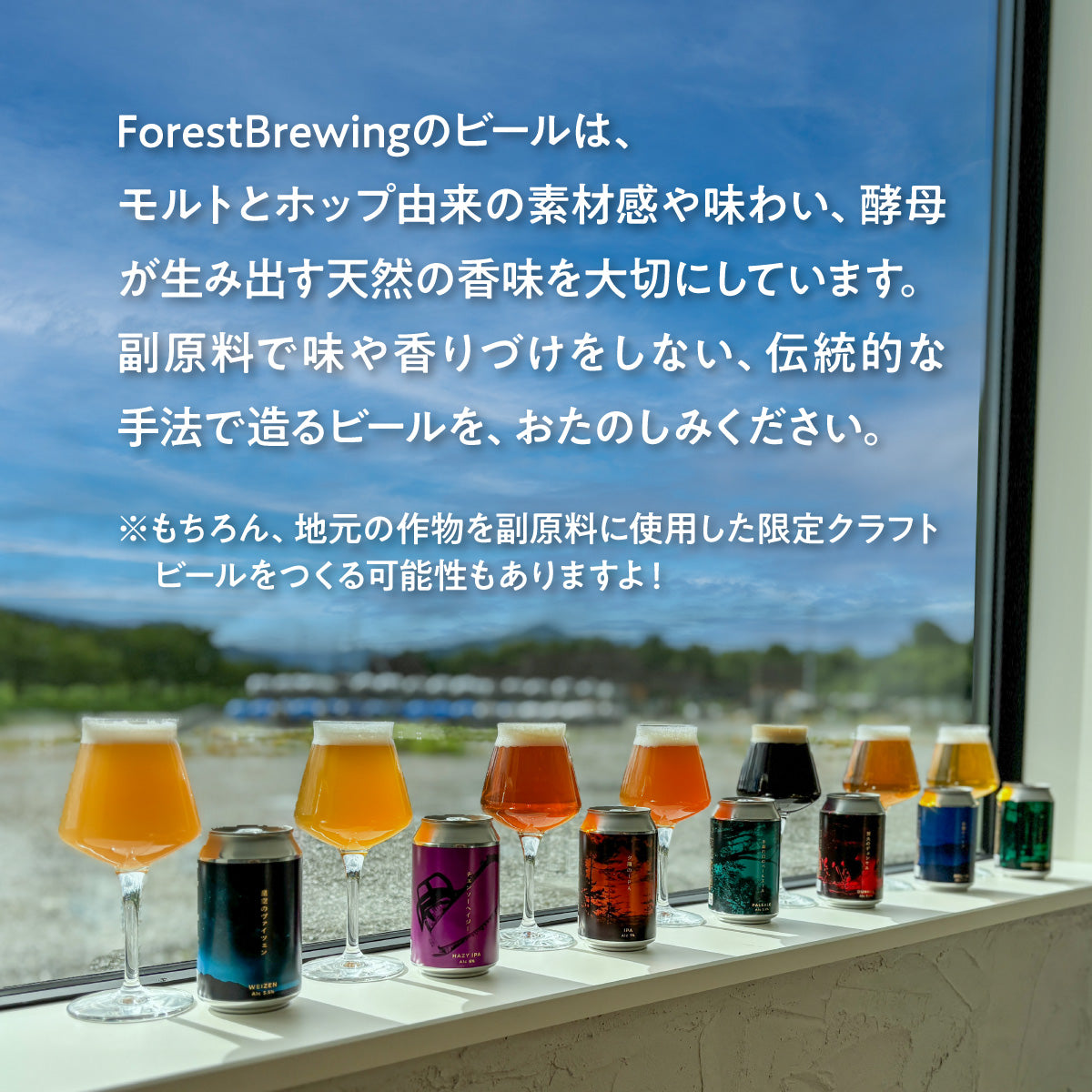 ラガー系 クラフトビール飲み比べセット