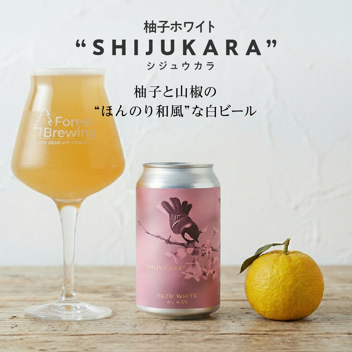 限定醸造ビール3種セット（2026_Spring）