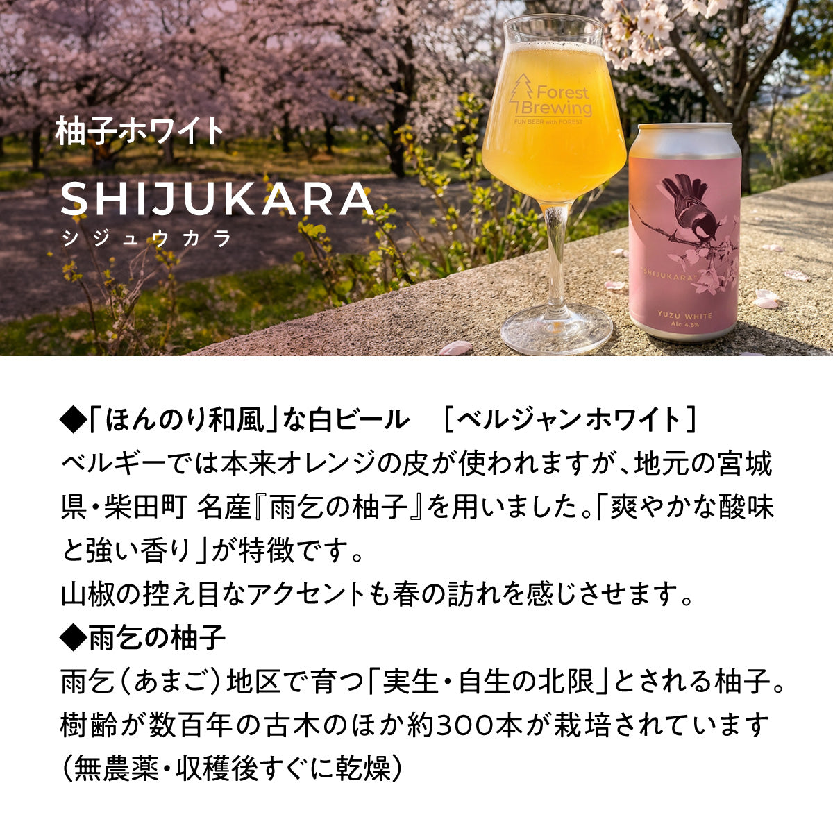 柚子ホワイト“SHIJUKARA（シジュウカラ）”3本セット