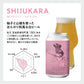 ForestBrewingフルラインナップ(限定ビール入)12本ギフトセット
