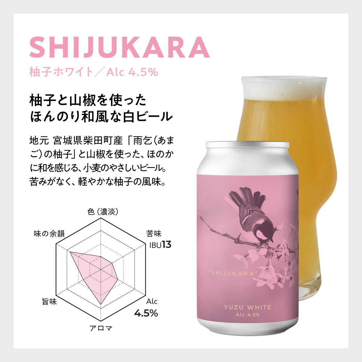 ForestBrewingフルラインナップ(限定ビール入)12本ギフトセット